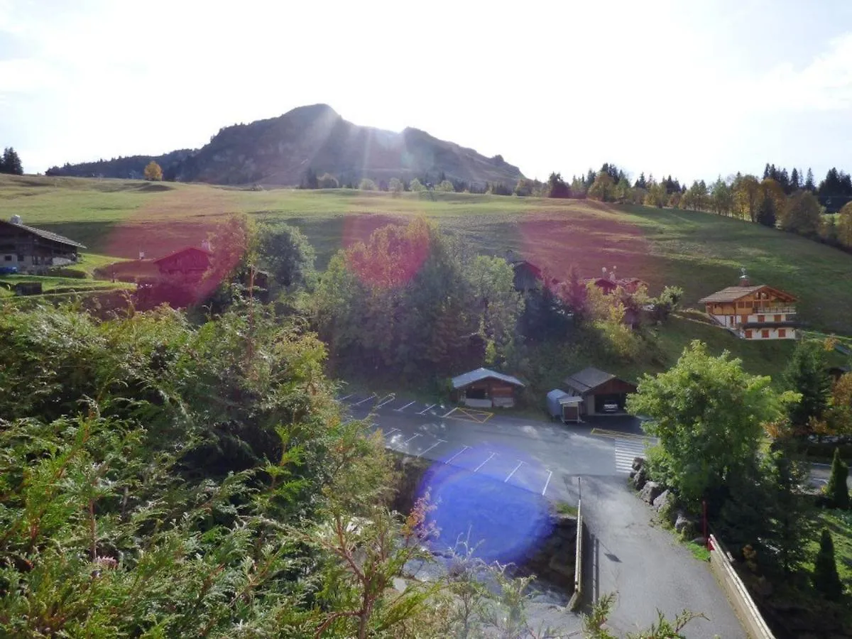 Appartamento Appartement Le Grand-Bornand, 2 pièces, 6 personnes - FR-1-458-142